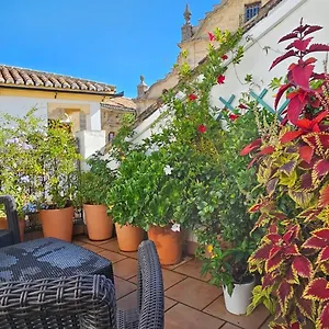 Appartement Descalzos Angel With Private Terrace Free Parking, Ronda