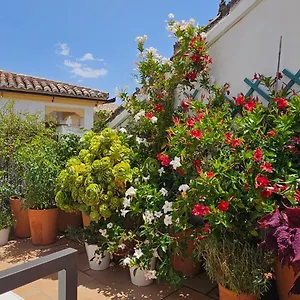Appartement Descalzos Angel With Private Terrace Free Parking, Ronda